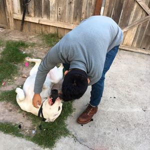 Meet your Posher, Bryan